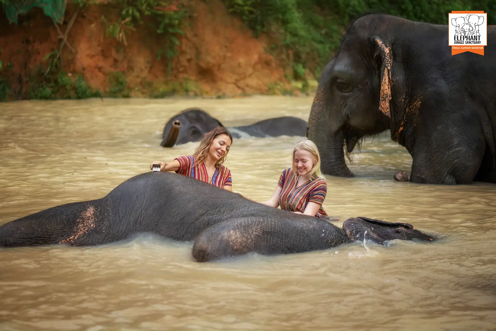 Elephant Jungle Sanctuary
