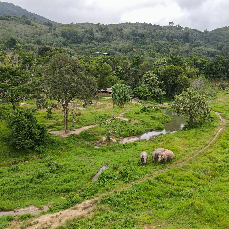 BUKIT ELEPHANT PARK