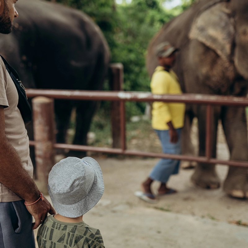 BUKIT ELEPHANT PARK