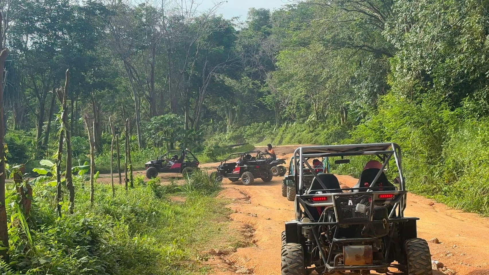 BUGGY Ride in Jungle 