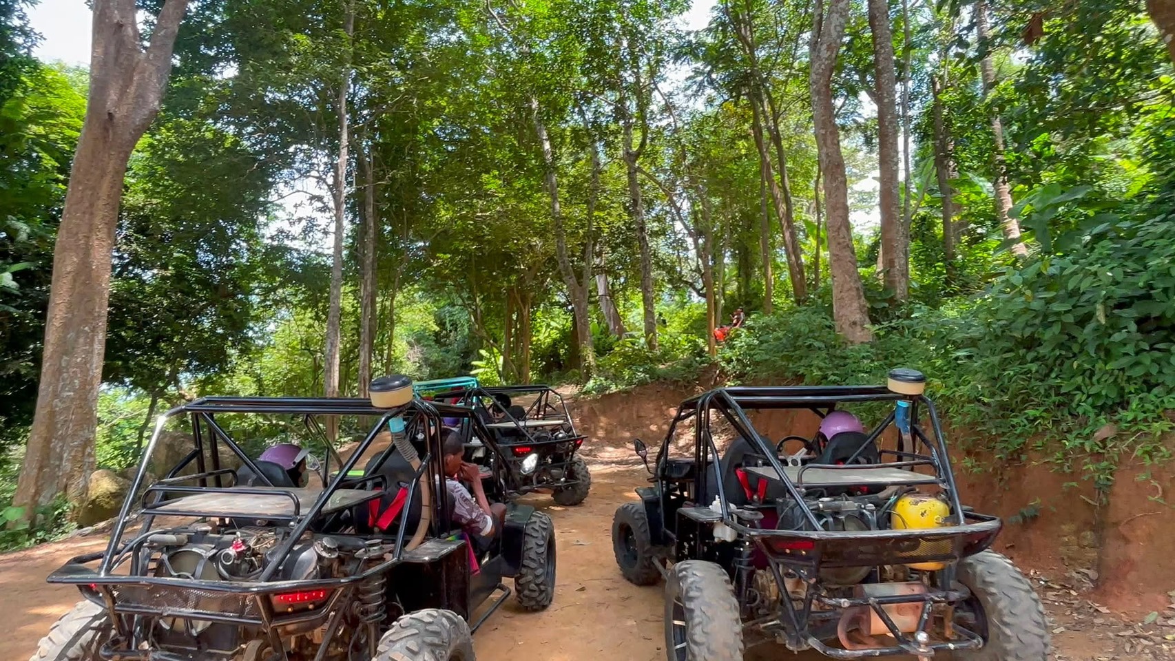 BUGGY Ride in Jungle 