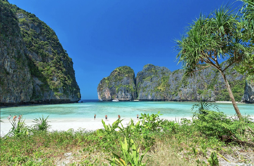Phi Phi + Maya bay + Khai Island by Speed Catamaran PREMIUM SERVICE