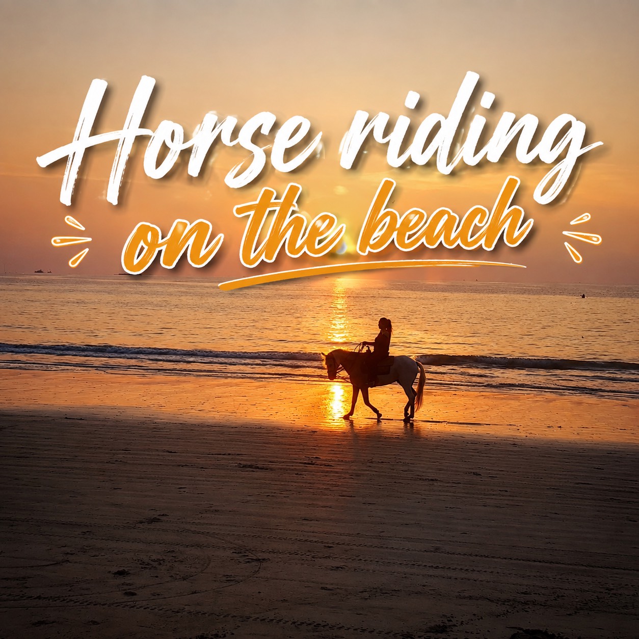 HORSE Riding on the beach