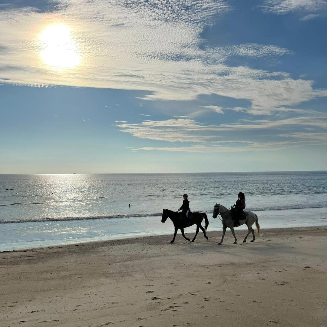 HORSE Riding on the beach