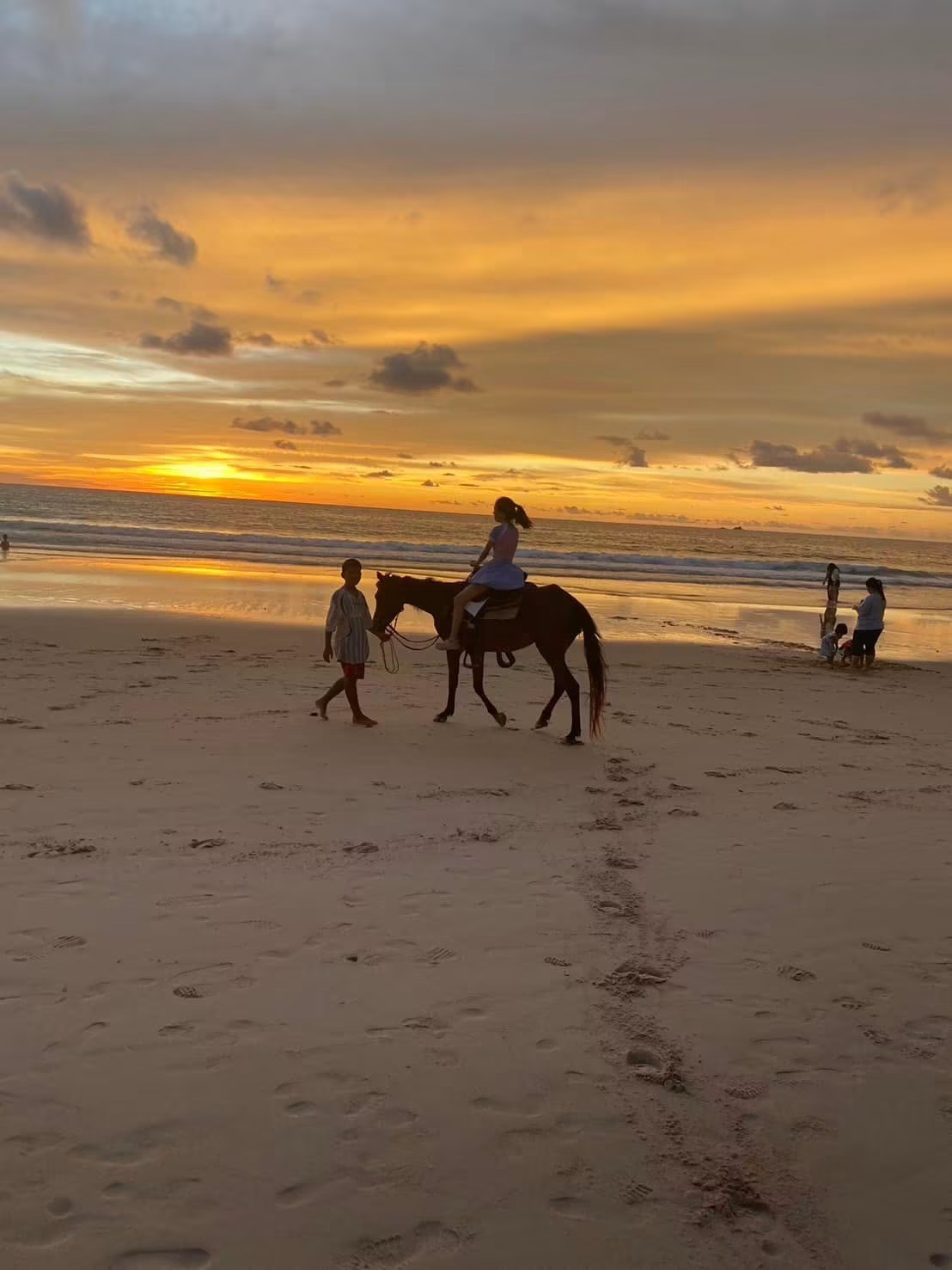 HORSE Riding on the beach