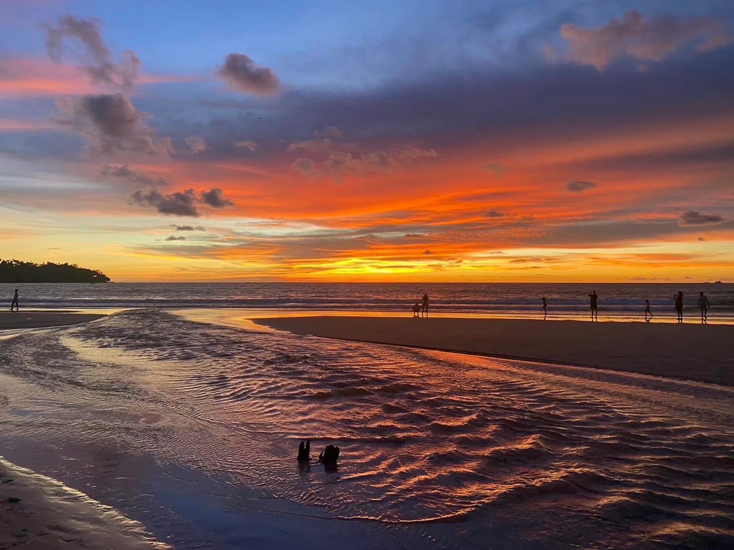 HORSE Riding on the beach