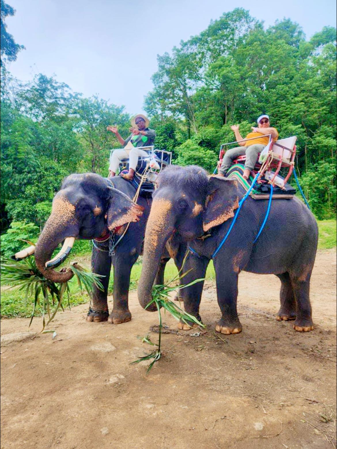 Zipline+ATV+Elephant by Pang chang kamala