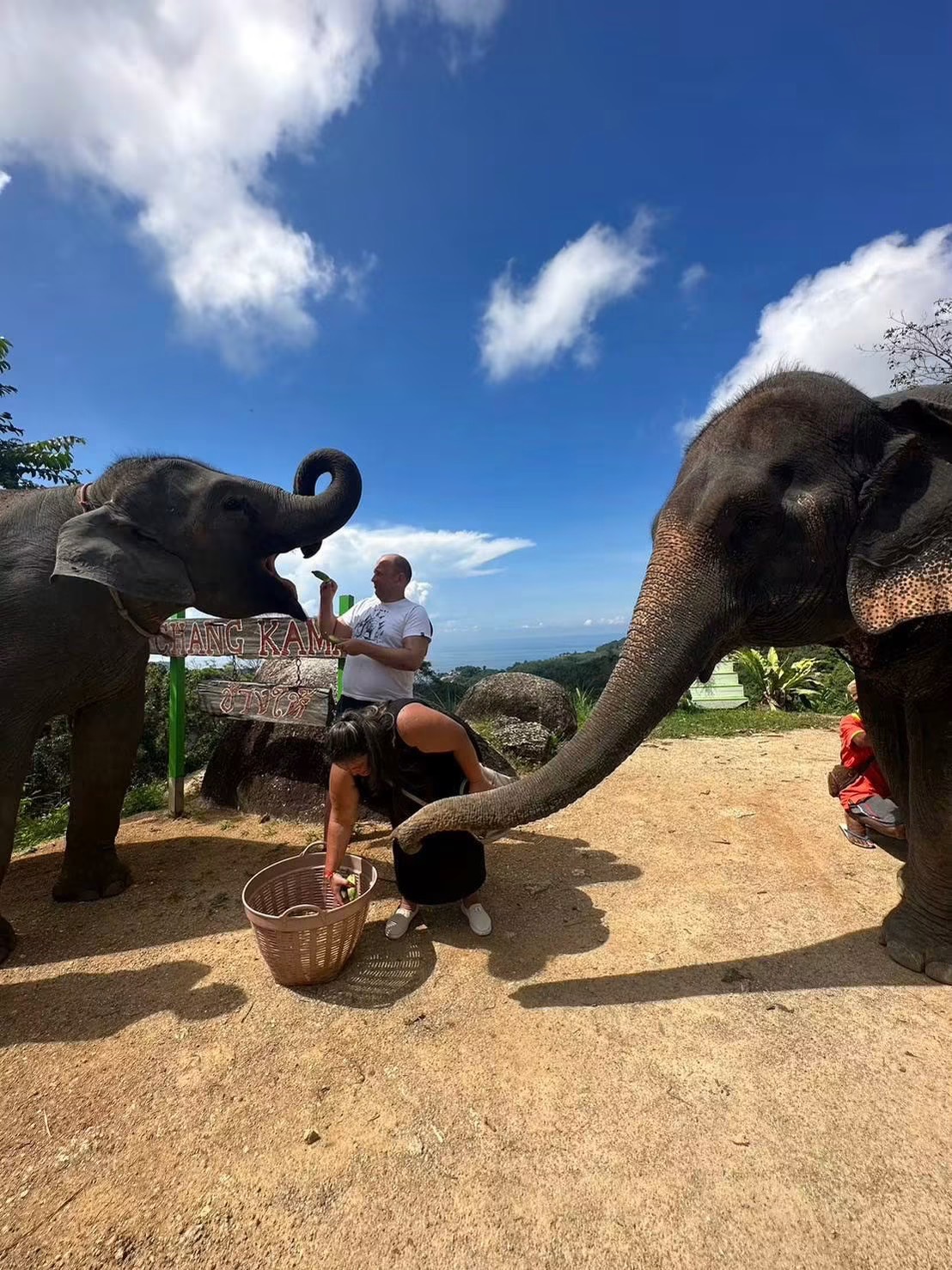 Zipline+ATV+Elephant by Pang chang kamala