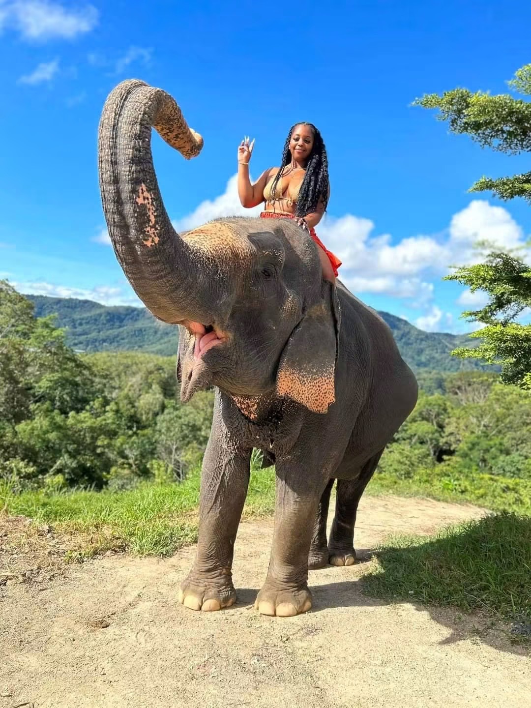 Zipline+ATV+Elephant by Pang chang kamala
