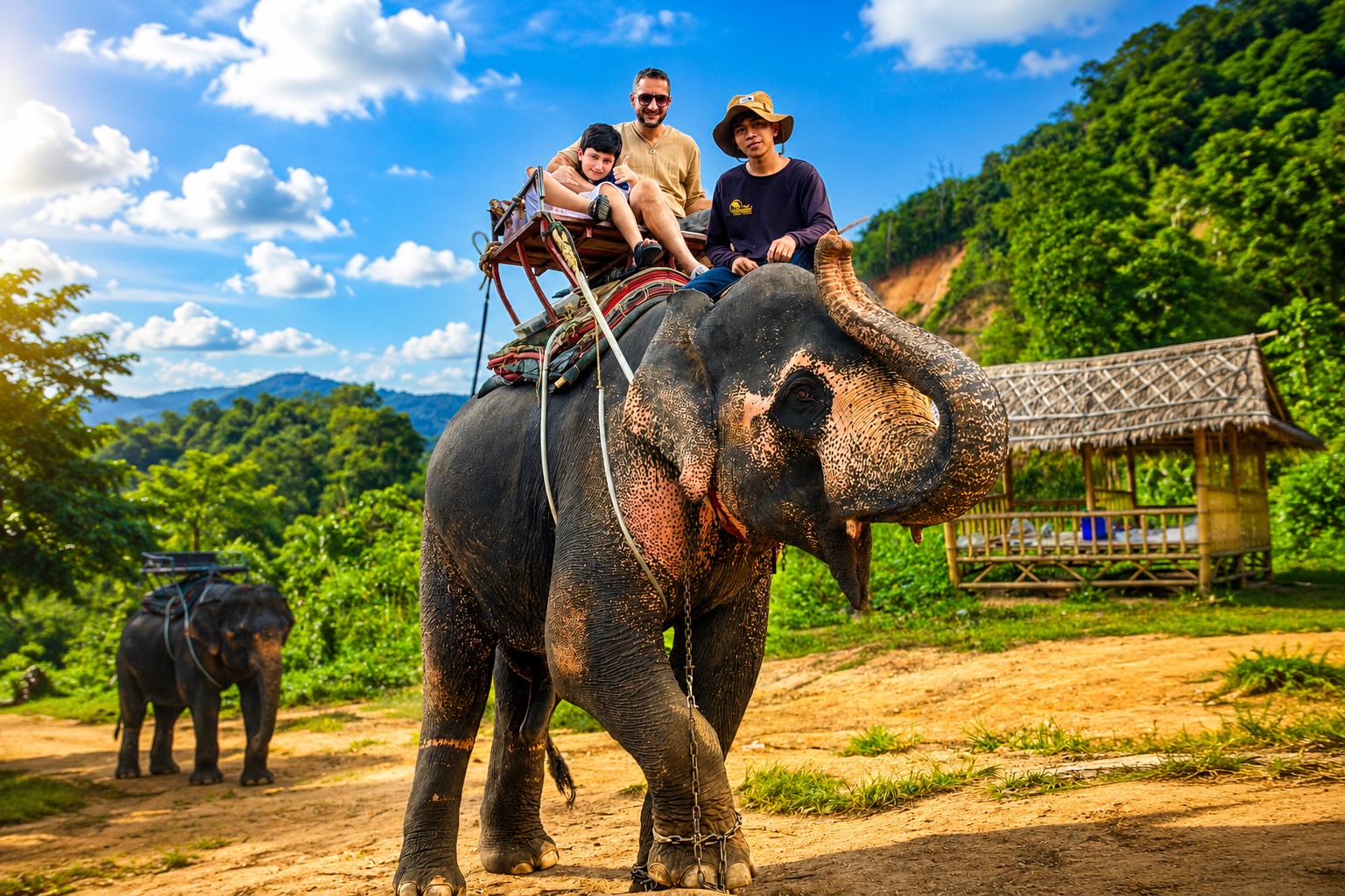 Elephant Trekking in jungle