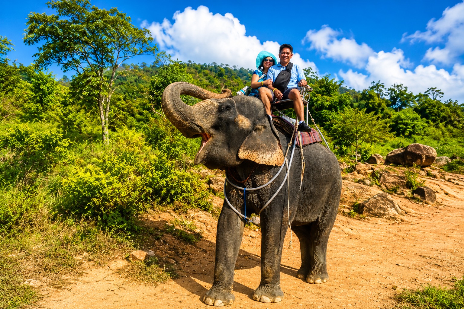 Elephant Trekking in jungle