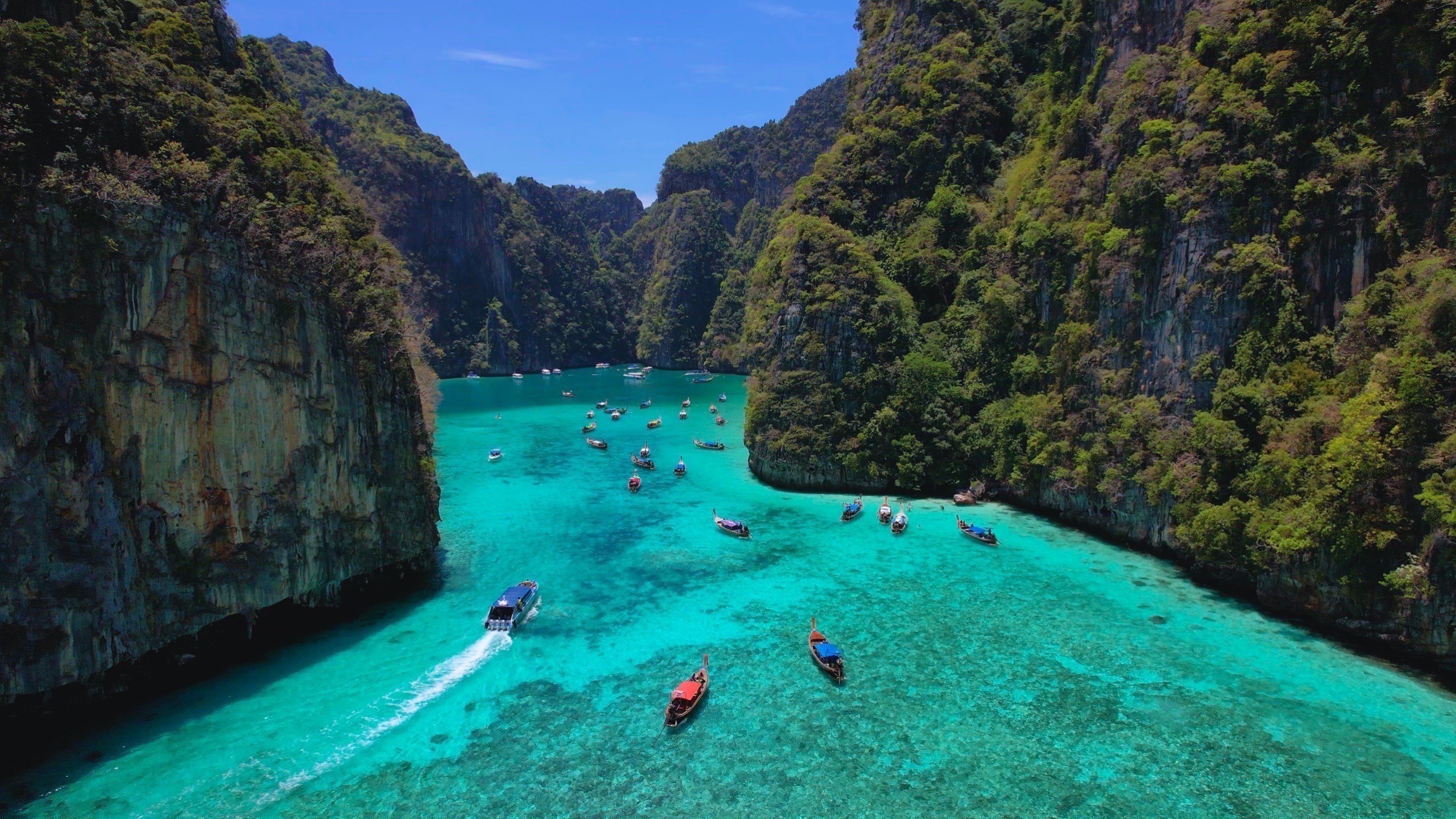 Phi Phi island by Luxury Speed Catamaran RECOMMEND 
