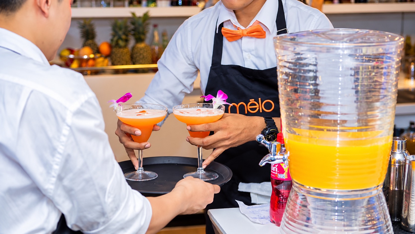 Sunset Dinner Cruise by Melody Cruises